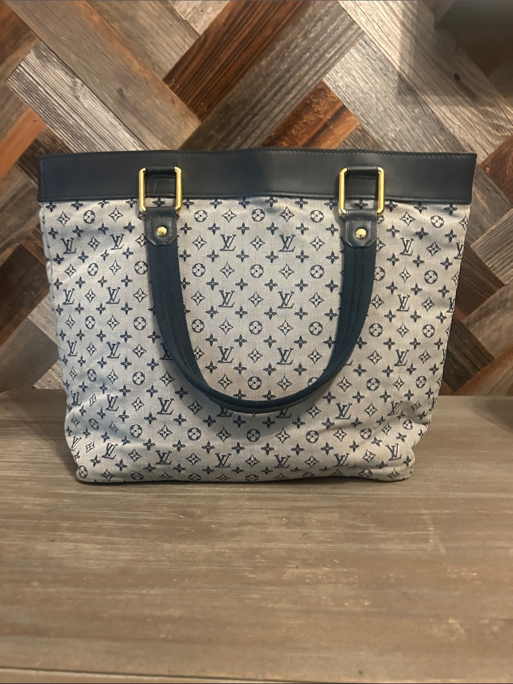 Louis Vuitton Mini Lin Lucille GM Tote Bag
